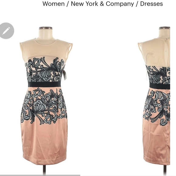 New York & Company Dresses & Skirts - Newyork& Company Blush brown, women paisley sleeveless dress With  Size 12